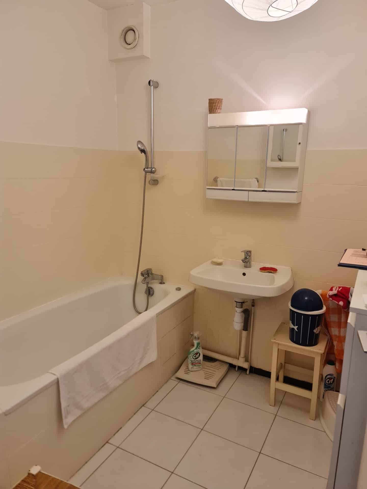 Before image