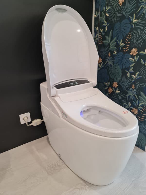Toilettes japonaises